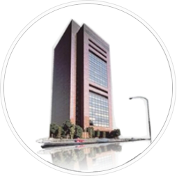 Toyota Motor CO., Ltd (TMC)